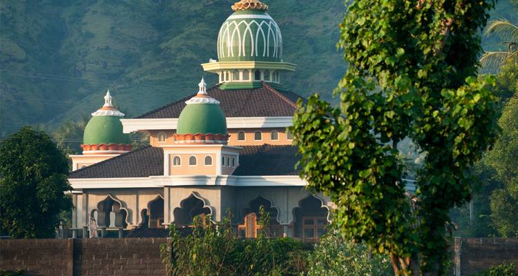 Mosquée aux dômes verts encadrée par une végétation tropicale avec des collines brumeuses s'élevant en arrière-plan.
