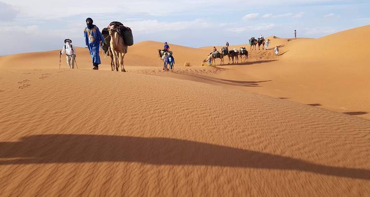 Un guide et des chameaux franchissent le sommet d'une dune lisse avec des ombres allongées sur le sable ondulé.