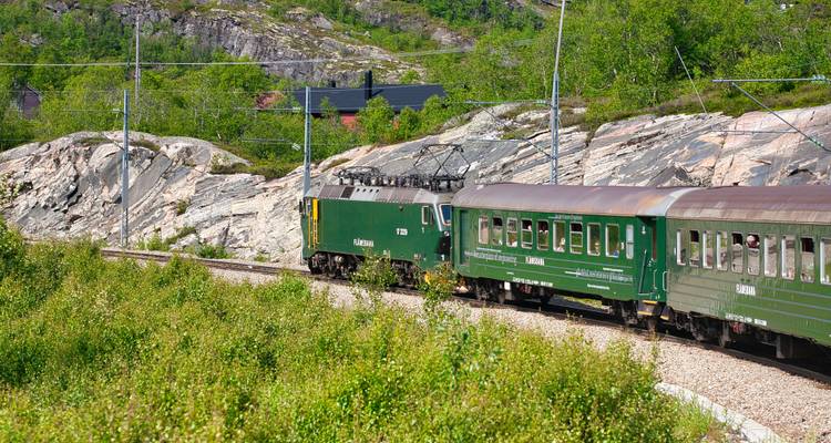 Les voitures vertes du Chemin de fer de Flam serpentent à travers un terrain alpin rocheux et des arbustes luxuriants.
