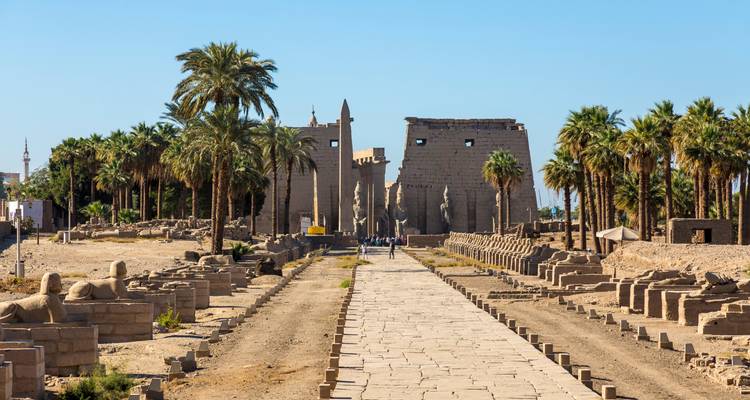 Avenida flanqueada de palmeras que conduce a los monumentales pilonos de entrada del Templo de Luxor bajo un cielo despejado.