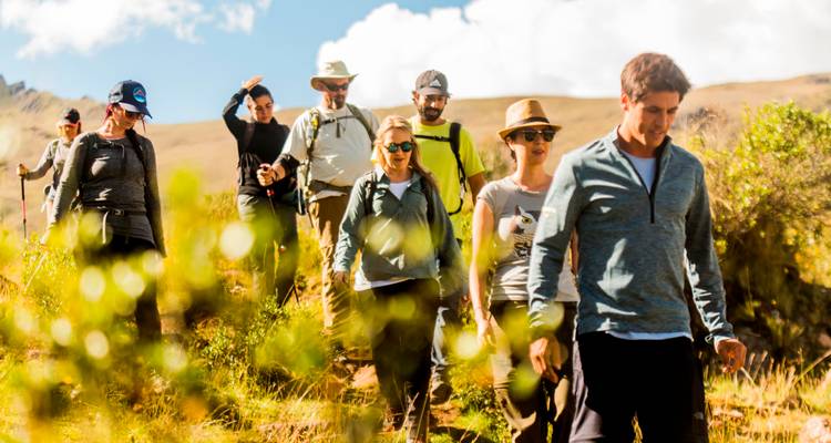 A guided group of hikers makes its way along a sunny mountain trail surrounded by tall grass.