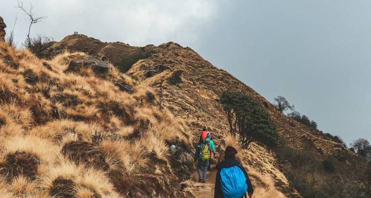 Des trekkeurs montant une crête herbeuse et sèche sous un ciel nuageux sur le sentier du Mardi Himal.
