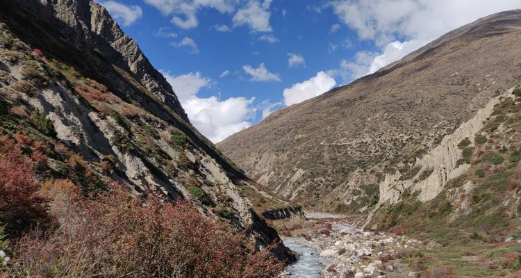 Vallée rocheuse escarpée avec une rivière au cours rapide et des arbustes d'automne sous un ciel partiellement nuageux.