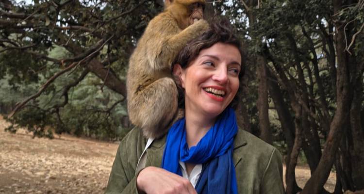 A laughing traveller poses with a friendly Barbary macaque perched on her shoulder in Morocco’s cedar forest.