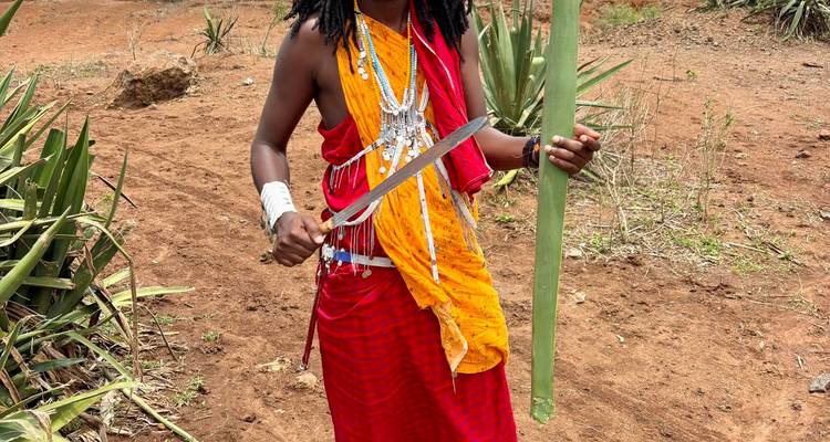 Maasai-Krieger in leuchtend rotem Shuka, der eine Machete und ein Pflanzenblatt in einer Dorfumgebung hält.