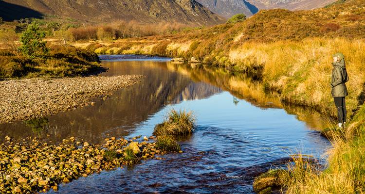 Una persona se queda quieta junto a un arroyo reflectante rodeada de pastos dorados y las montañas de las Highlands.