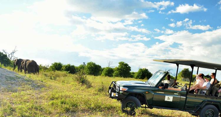 Open safari vehicle approaches grazing elephants on sunlit savannah