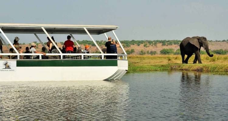 Riverboat with tourists photographing elephant walking along grassy bank