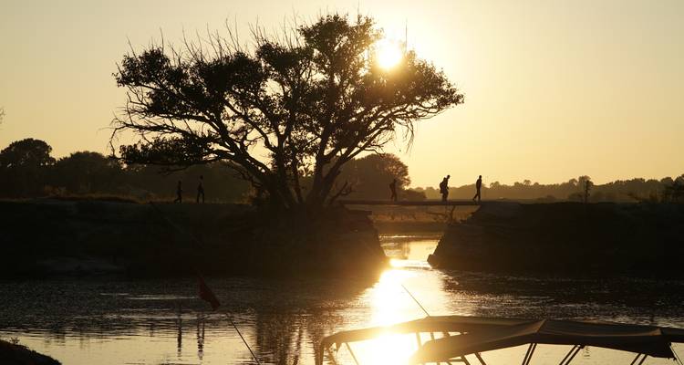 Silhouetted tree and shimmering river at golden sunset with boat in foreground