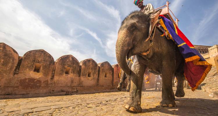 Person, die auf einem verzierten Elefanten entlang der Wälle der Amber Fort reitet