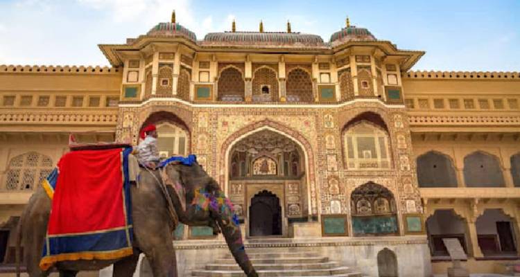 Elefant mit farbenfrohem Sattel vor verziertem Palasttor