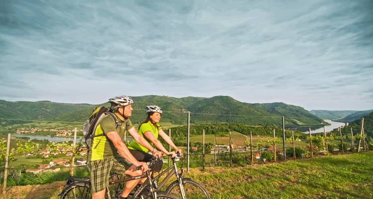 Dos ciclistas con jerseys brillantes se detienen con sus bicicletas para disfrutar de una vista panorámica de viñedos y un valle de río.
