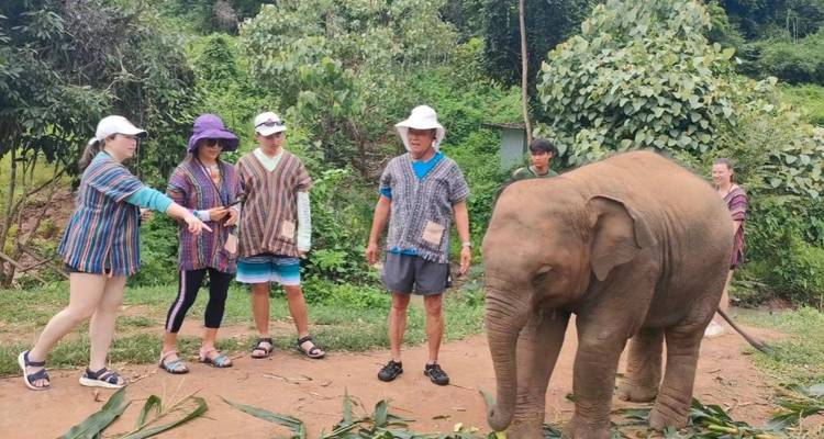 Les visiteurs vêtus de chemises traditionnelles interagissent avec un jeune éléphant dans un sanctuaire forestier luxuriant.