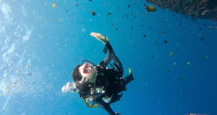 Buzo de buceo flotando hacia arriba saludando en medio de una lluvia de burbujas y peces de colores.