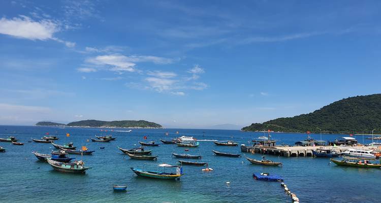 Vista soleada sobre una bahía turquesa con decenas de botes de pesca y un pequeño muelle cerca de islas boscosas.