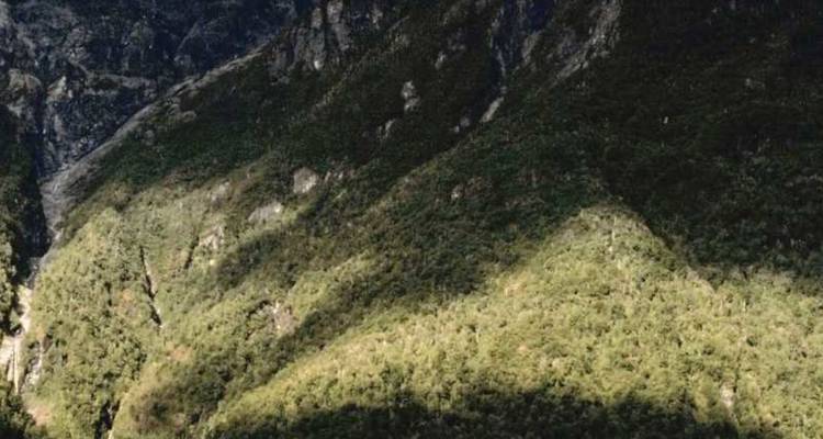 Canyon forestier profond aux motifs d'ombres tranchantes projetés sur les parois de la vallée.