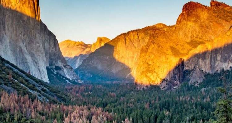La lumière dorée du soleil illumine la vallée de Yosemite avec El Capitan et Half Dome qui brillent à l'aube.