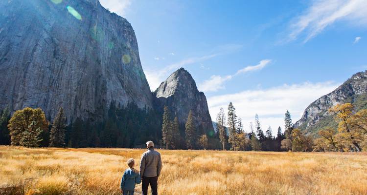 Un adulte et un enfant lèvent les yeux vers des falaises de granit imposantes qui s'élèvent au-dessus d'une prairie dorée à Yosemite.