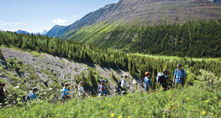 Una fila de excursionistas avanza por un sendero exuberante en las laderas de las Montañas Rocosas de Canadá.