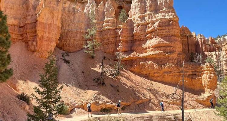 Les randonneurs marchent sous de hauts hoodoos orangés sur un sentier de Bryce Canyon baigné de soleil.
