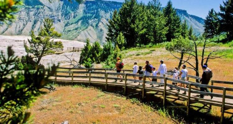 Les visiteurs marchent le long d'une passerelle en bois à travers un paysage géothermique coloré avec des falaises boisées au-delà.