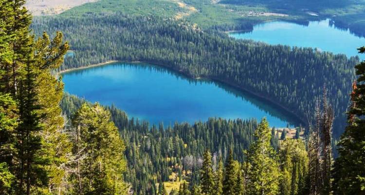 Un lac alpin en forme de coeur turquoise s'étend au milieu de forêts de conifères denses et de montagnes lointaines.