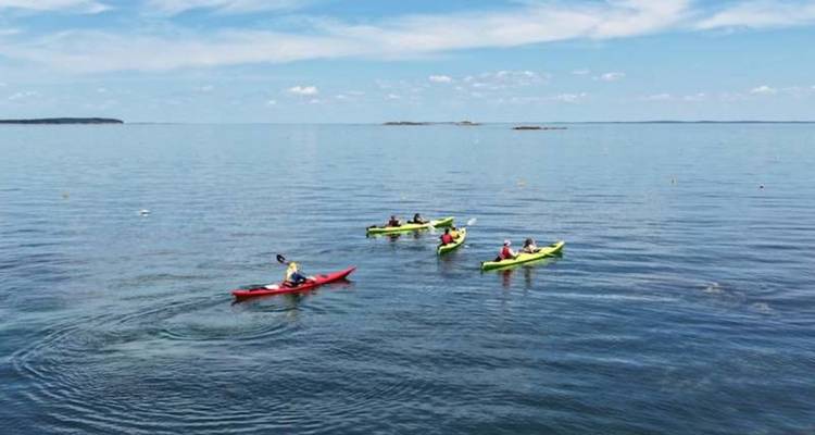 Vue aérienne de kayakistes pagayant sur une mer calme et dégagée sous un ciel bleu avec des nuages légers