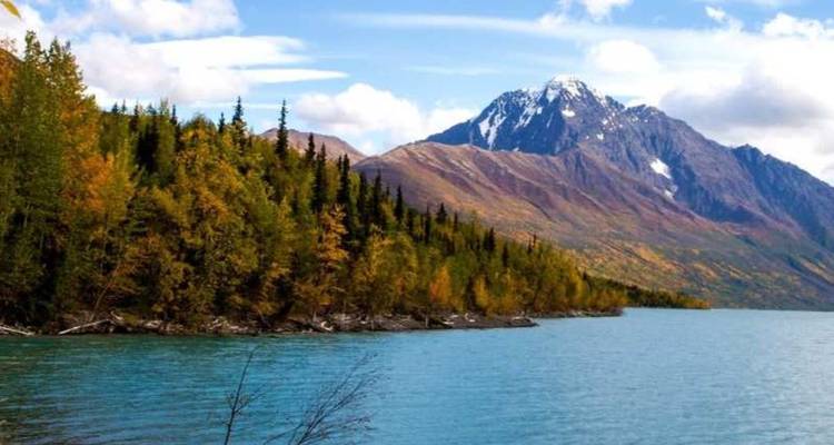 Lac turquoise bordé d'arbres d'automne dorés avec un pic enneigé s'élevant à l'arrière-plan