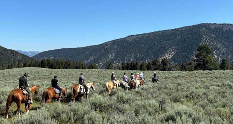 Les cavaliers suivent un sentier à travers une région de sauge ouverte avec des montagnes parsemées de conifères à l'arrière-plan