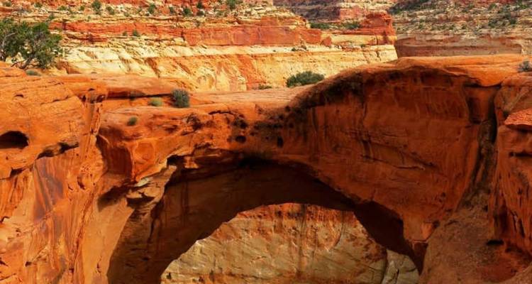 Un immense pont naturel en grès s'étend sur un paysage de canyon d'un orange éclatant.