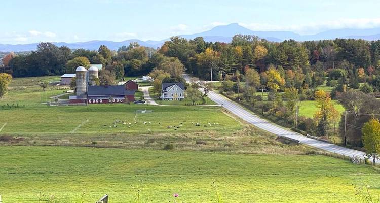 Landelijk dal met boerderij, schuren, silo's, grazend vee en bergen in de verte.