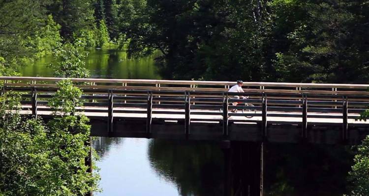 Un cycliste traversant un pont en bois au-dessus d'une rivière forestière reflétante par une belle journée d'été