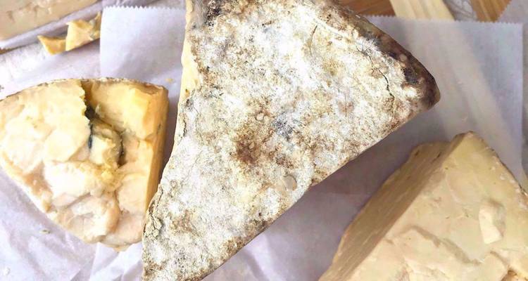 Des portions variées de fromage artisanal reposent sur du papier parchemin, révélant des croûtes naturelles et des intérieurs crémeux.