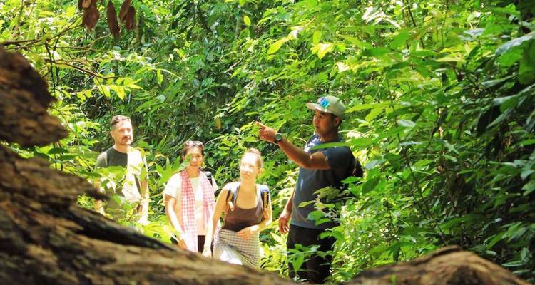 A local guide points out features in dense jungle to an attentive small group of hikers