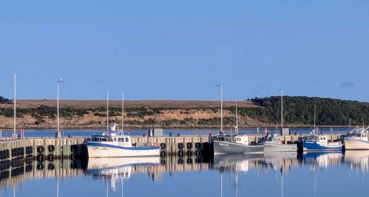 De petits bateaux de pêche amarrés à un quai tranquille se reflètent dans une eau cristalline sous un ciel bleu dégagé.