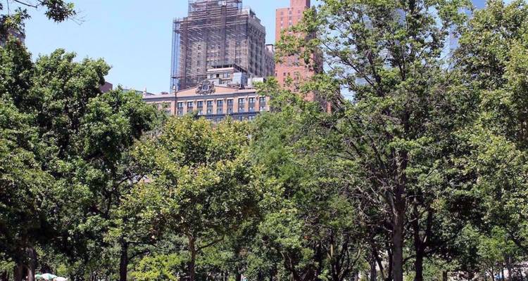 Groen stadspark met hoge bouwwerken en wolkenkrabbers die boven de boomtoppen uitsteken