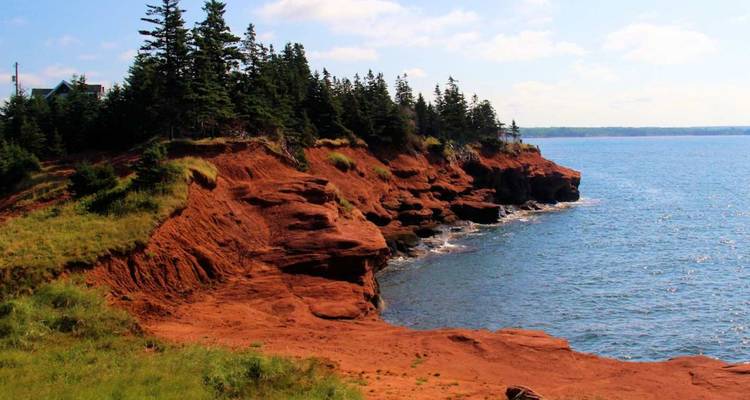 Les falaises de grès rouge boisées rencontrent la mer bleue par une journée ensoleillée.