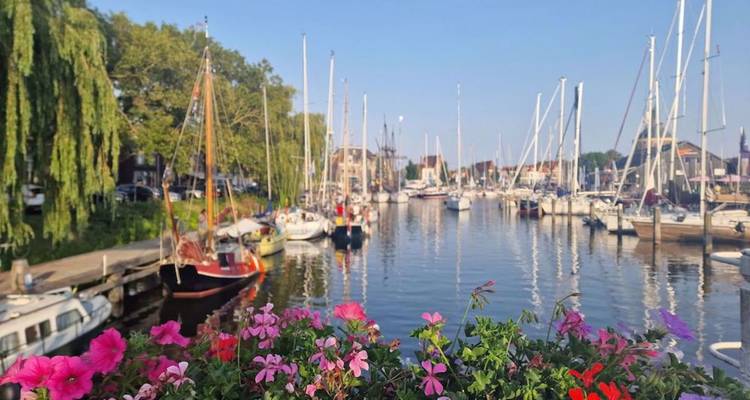 Colorful flowers frame a serene marina full of sailboats under a clear blue sky.