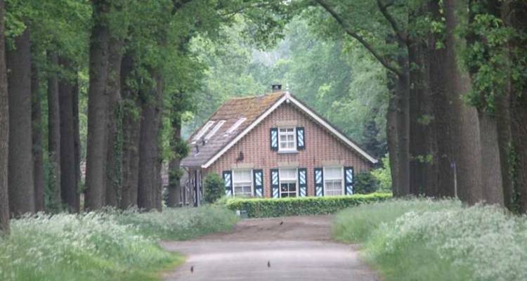 Small brick farmhouse at the end of a tree-lined lane surrounded by lush greenery.