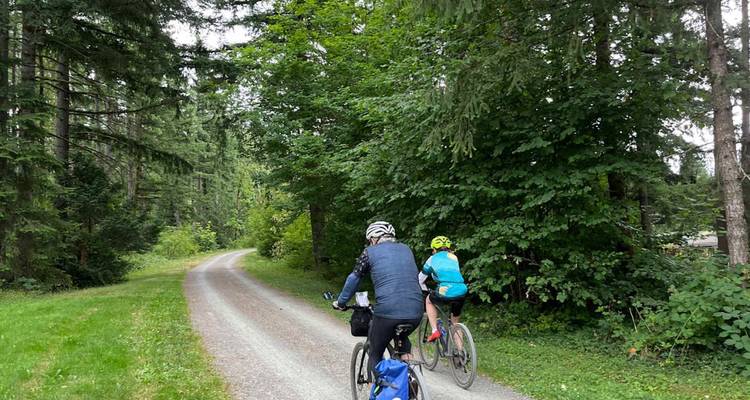 Deux cyclistes pédalent sur une tranquille voie en gravier entourée de grands conifères.
