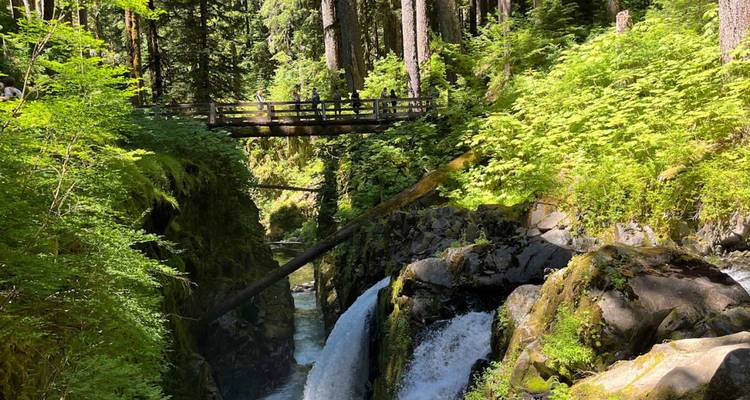 Le sentier forestier traverse une gorge étroite à côté des chutes jumelles aux chutes de Sol Duc.