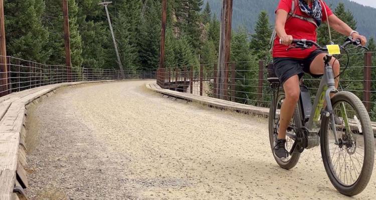 Un cycliste en chemise rouge pédalant le long d'un large chemin de gravier bordé de grands pins