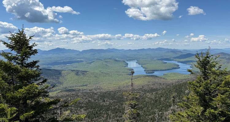 Le point de vue élevé offre une vue panoramique sur un système de lacs sinueux et des collines verdoyantes encadrées par des arbres à feuillage persistant.