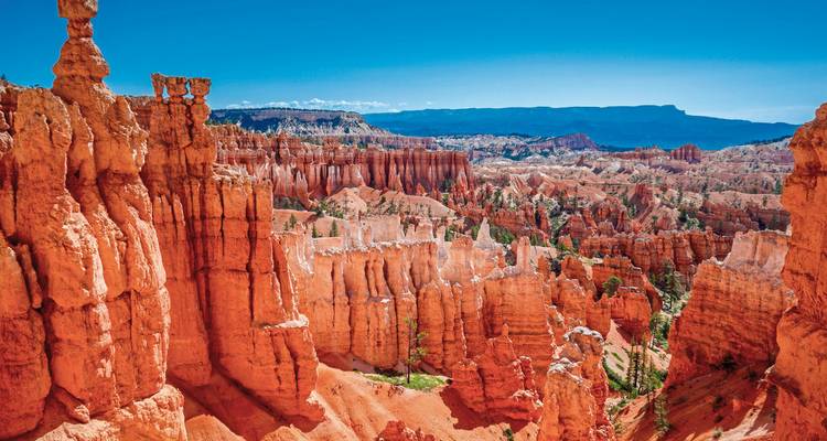 Ausgedehnte Felsenstadt aus orangefarbenen Hoodoos unter einem lebendigen blauen Himmel im Bryce Canyon