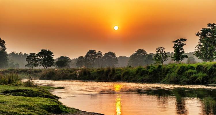 Coucher de soleil doré se reflétant sur une rivière de jungle calme bordée d'herbes hautes et d'arbres