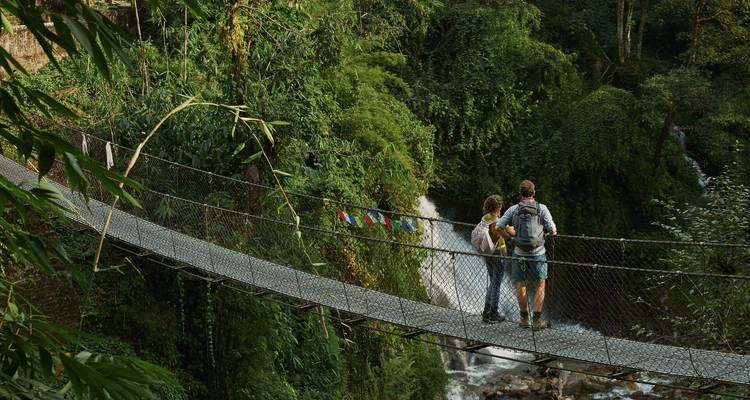 Un couple se tient sur un pont suspendu étroit au-dessus d'une cascade luxuriante dans une jungle dense.