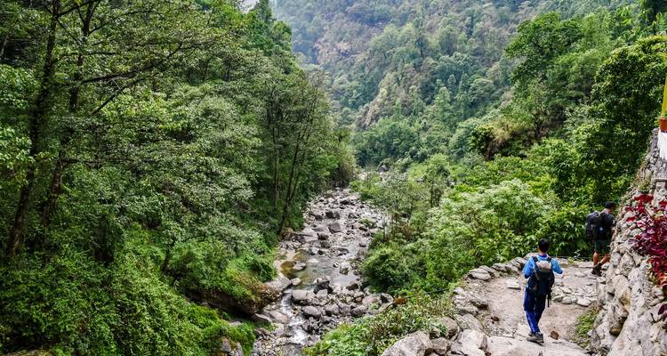 Trekkers follow a rocky trail beside a forested gorge with stream below