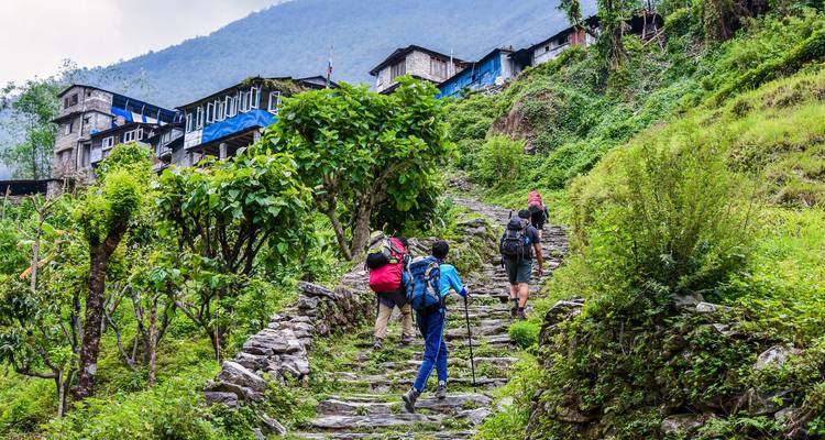 Hikers ascend stone steps through a terraced Himalayan village surrounded by greenery