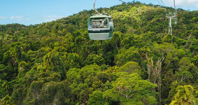 Téléphérique se déplaçant au-dessus d'une luxuriante forêt tropicale verdoyante, offrant des vues aériennes expansives de la jungle.