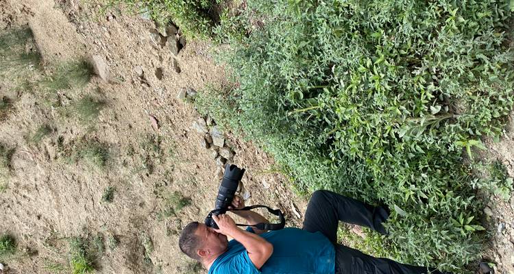 Man kneels on a slope focusing a telephoto camera at vegetation during a nature photography outing.